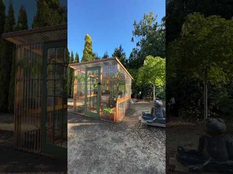 Transform Your Garden Shed into a Bird Haven Naturally