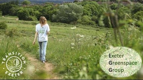 Exeter Green Spaces Under Threat: Urgent Action Needed