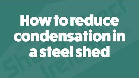 Safeguard Your Shed: Expert Tips to Prevent Winter Dampness
